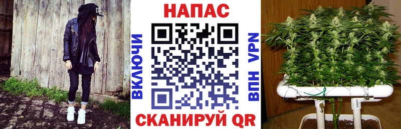 Где можно купить наркотики Теберда Амфетамин  МЕФ  Канабис  A-PVP 